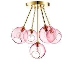 Ballroom Molecule, Rose