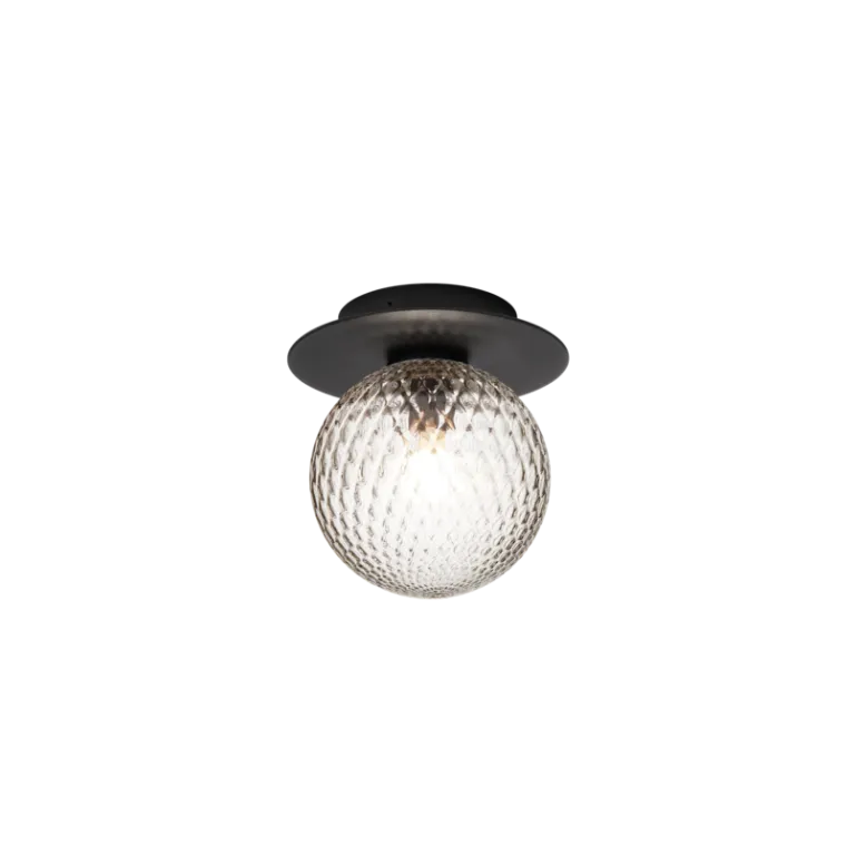 Liila 1 Outdoor væglampe / loftlampe, sort/klar