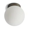 Palla C135 væglampe/loftlampe, titanium