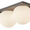 Palla C2135 væglampe/loftlampe, titanium